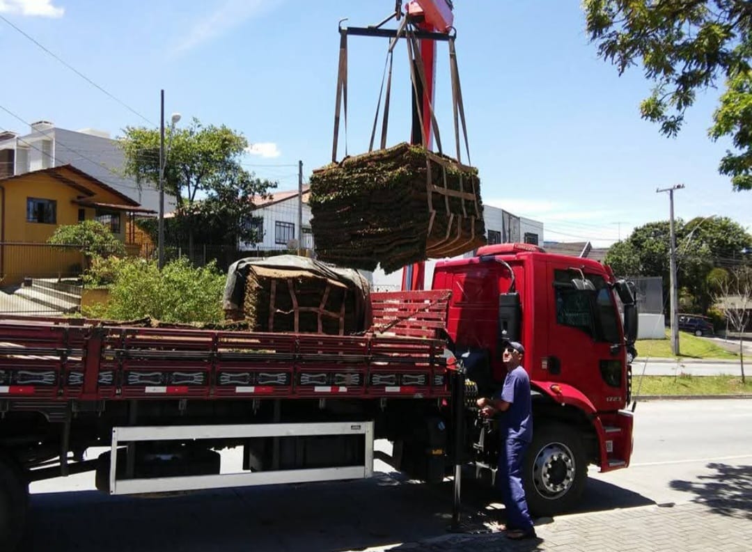 Plantio de grama em Curitiba